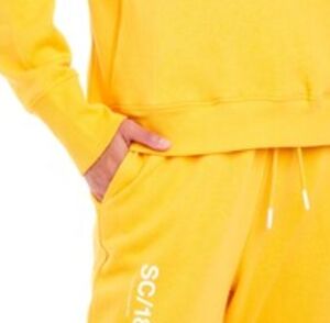 NWT ❄️SALE: END OF WINTER❄️ Sage Collective Boyfriend Inspired sweatpants